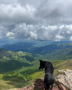 Loki (Midžor)